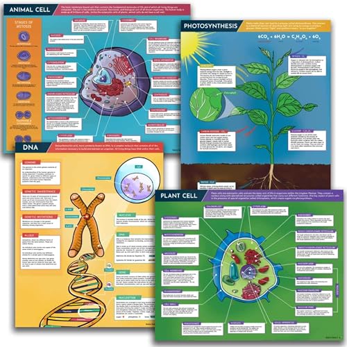 Image of Hubble Bubble Kids Science Posters for Classroom Decoration - 4 Biology Posters include DNA Poster, Photosynthesis, Plant Cell and Animal Cell. Each Poster is 16x20 inches.