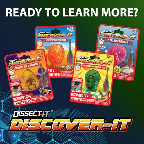 Image of Dissect-It Discover-It Bigfoot Dig Kids Science Kit, Gel Dissection Kit for Kids to Learn Anatomy, STEM Toys for Ages 6 and Above