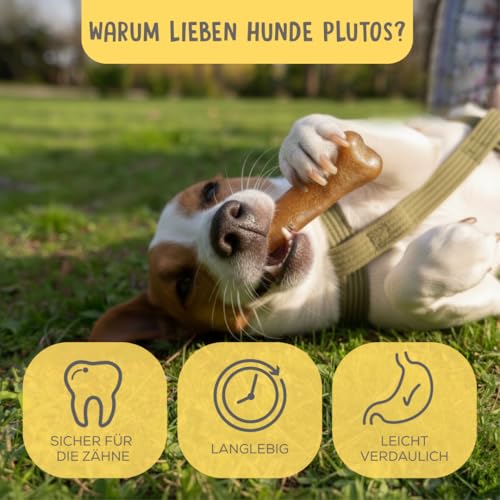 Käse und Huhn Kauknochen für Hunde | Käseknochen Hund aus Käse und Huhn | Langanhaltende Kausnacks für Hunde jeder Größe | Käsestangen | Gesunde Hund Knochen für Zahnpflege und Kauspaß