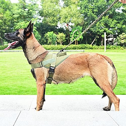 service dog gear amazon