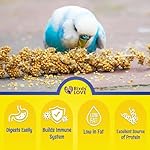 Birds LOVE Millet Tips & Tails for Birds - Parakeets, Cockatiels, Lovebirds, Finches, Budgies, Canaries, Cockatoos - Natural & Healthy Millet for Birds - Parakeet Food & Treats for All Parrots, 1lb - Image 5