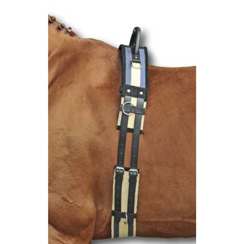 Ceinture D’entraînement Cheval En Toile Et Cuir Avec Sangle Réglable