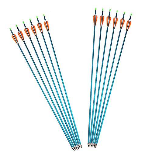 12pack Tiro con Arco 31.7 Pulgadas Aluminio Flechas Spine 500 Principiante Exterior Tiroteo Objetivo Prácticas Flecha Espiral Caza Arrows Cola de Flecha Ajustable para Arco Compuesto Recurvo A