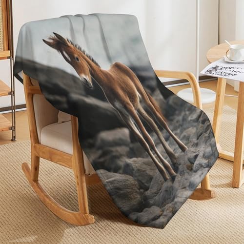 Couverture cheval légère pour vos soirées cocooning sofa - 5
