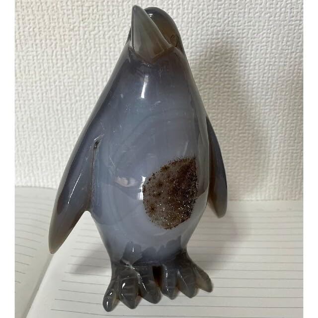 瑪瑙ペンギン 瑪瑙ペンギン 2024 Kawasaki Ninja ZX-25R SE Gets New Silver Color