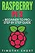 Raspberry Pi 3: Beginner to Pro – Step by Step Guide (Raspberry Pi 3 2016)