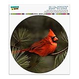 Graphics and More Northern Cardinal Red Pine Perch Automotive Car Window Locker Circle Bumper...
