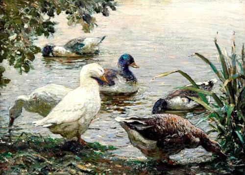 Pintura por números para adultos DTAUPREB dibuja sin saber pintar kit lienzo El charco de patos
