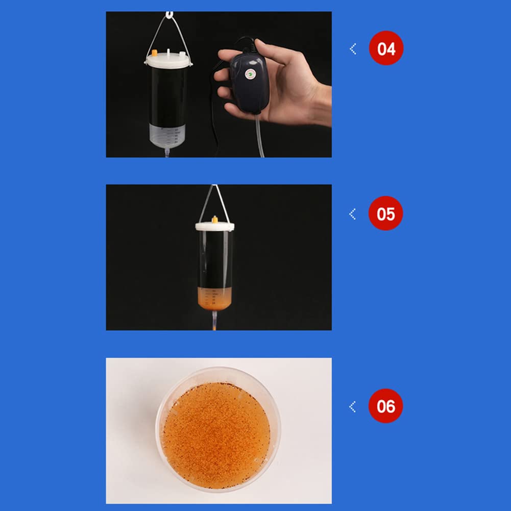 Incubatore per Uova di Gamberetto Salato Incubatore per Uova di Artemia Kit di Cova Vivo per Cisti Artemia Strumento Fai da Te per Mangimi