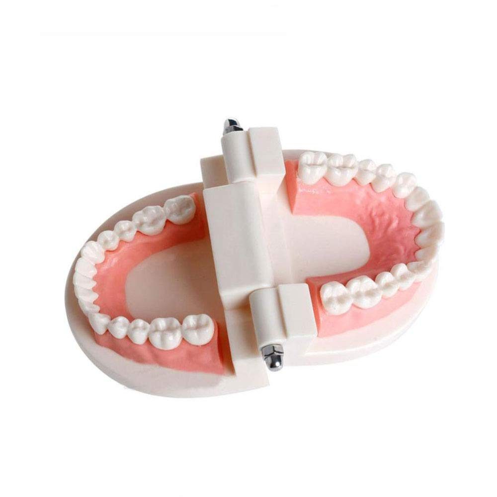 Logo Dei Denti E Delle Parentesi Graffe Logo Della Clinica Dentale Logo - Foto 8