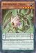 Yu-Gi-Oh! - Amorphage Pride (SHVI-EN029) - Shining Victories - 1st Edition - Common