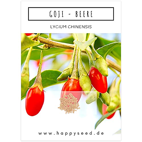 Goji Beeren Samen (Lycium chinense) - Vitaminreiche, rote Wolfsbeeren ideal für die Anzucht im Garten, Balkon oder Terrasse