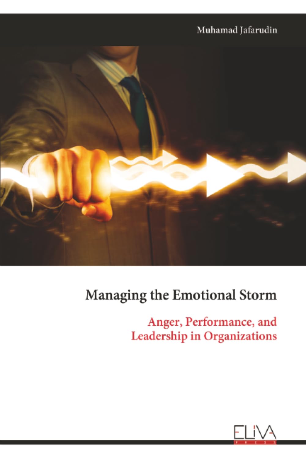 Managing the Emotional Storm: Anger, Performance, and Leadership in Organizations