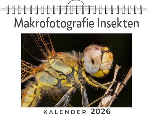 Makrofotografie Insekten: (Wandkalender 2026, Kalender DIN A4 quer, Monatskalender im Querformat mit Kalendarium, das perfekte Geschenk)