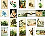 Hochwertige Kunstdrucke (Kunst-Postkarten) mit Gemälden von Albrecht Dürer