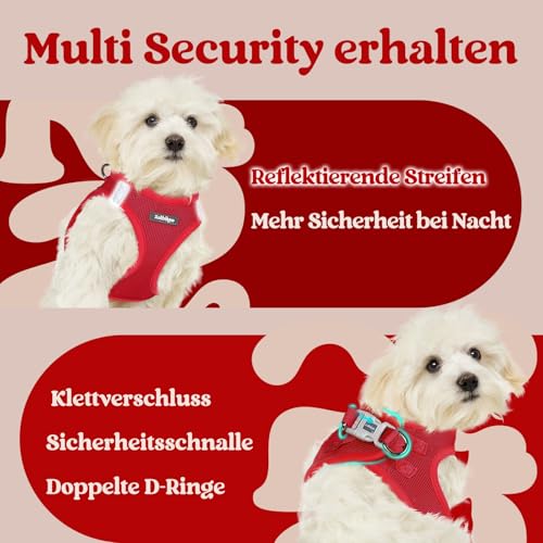 rabbitgoo Hundegeschirr Kleine Hunde, Step-in Welpengeschirr Weich Mesh für Spaziergänge, Atmungsaktives und Reflektierendes Brustgeschirr für Kleine und Mittelgroße Hunde, Rot, S
