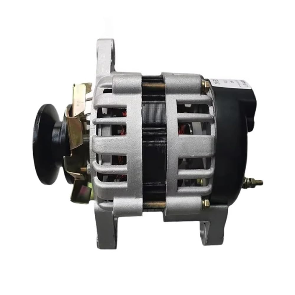 Generador de alta potencia de 220 V, imán sin escobillas, voltaje constante, núcleo de alambre de cobre puro for uso doméstico, alternador de núcleo de alambre de pequeña potencia.(800W)