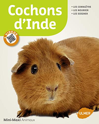 Télécharger Cochons d'Inde Gratuit