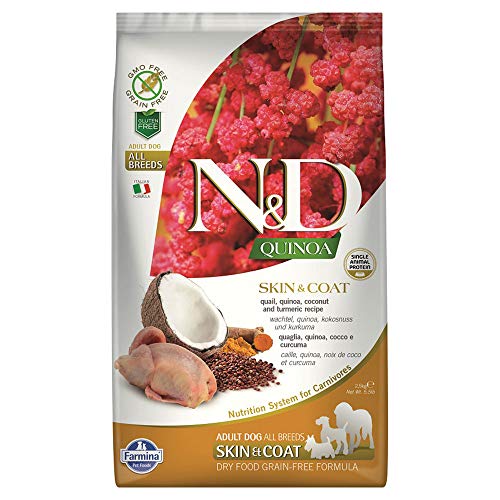 10 Best C D Dog Foods your Furry Friend will Love A Comprehensive