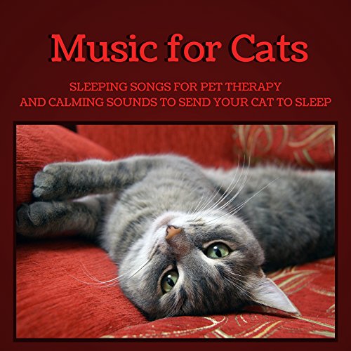 Music for Cats Sleeping Songs for Pet Therapy and Calming Sounds to