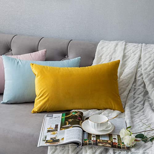 Image of RVA Velvet Cushion Covers Throw Pillow Case Soft Cozy Velvet Rectangle Home Decorative Throw Pillow Covers for Couch and Bed, Sofa (Size 16x24 inch) (Pack of 2) (Color Yellow)