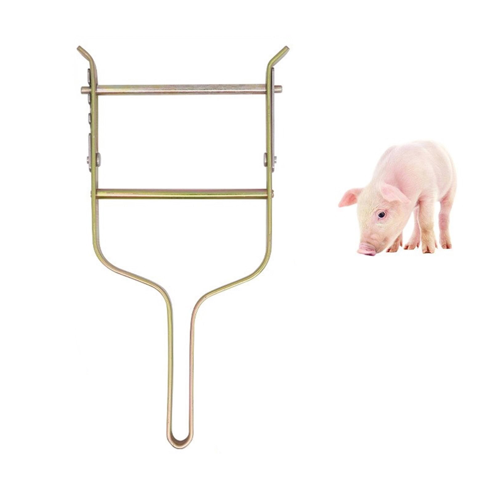 Dispensador ergonómico de metal para medicamentos para ganado para una dosificación precisa en animales de granja, herramienta veterinaria fácil de limpiar, equipo veterinario sanitario de