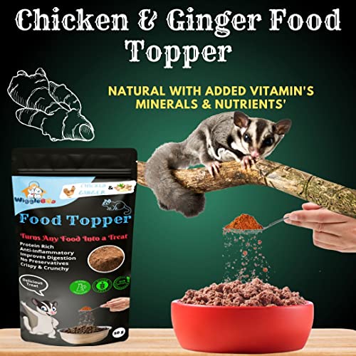 Chicken & Ginger Sugar Glider Topper - Irresistible Flavor Fusion for a Healthy Pet, The Perfect Snack to Satisfy Your Sugar Glider Craving, A Burst of Chicken & Ginger Flavor (50g)