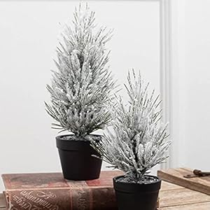 Sullivans Flocked Christmas Pine Tree Set of 2, Christmas Decor, Mini Christmas Trees, Christmas Decorations Indoor Home Decor, Flocked Trees, Artificial Christmas Trees, Tabletop Christmas Decor Sullivans Flocked Christmas Pine Tree Set of 2 Christmas Decor Mini Christmas Trees Christmas Decorations Indoor Home Decor Flocked Trees Artificial Christmas Trees Tabletop Christmas Decor