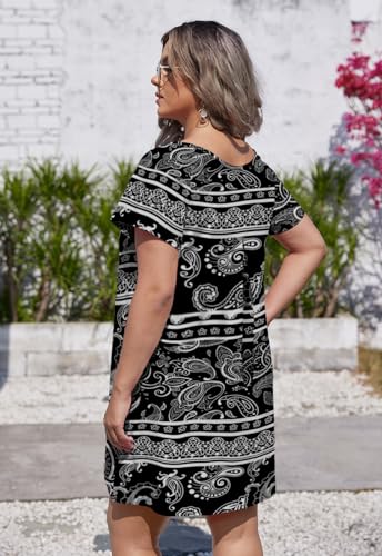 Image of Alaster Women's Casual Summer T Shirt Dress Loose Short Sleeve Tunic Dress with Pocket for Women