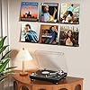 Viymgit 8 Pack Vinyl Record Shelf Wall Mount, 12" Vinyl Holder for Album Record Storage & Display, Black Acrylic Floating Shelves for Wall Photo Decor, Picture Ledge, Kids Bookshelf, Magazine Rack #3