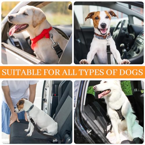 2 Stück Anschnallgurt Hund Auto, Verstellbarer Hundegurt Auto Rückbank, Nylonleine mit Haken, Autogurt Hunde, Sicherheitsleine für Alle Hunde und Katzen (Schwarz)