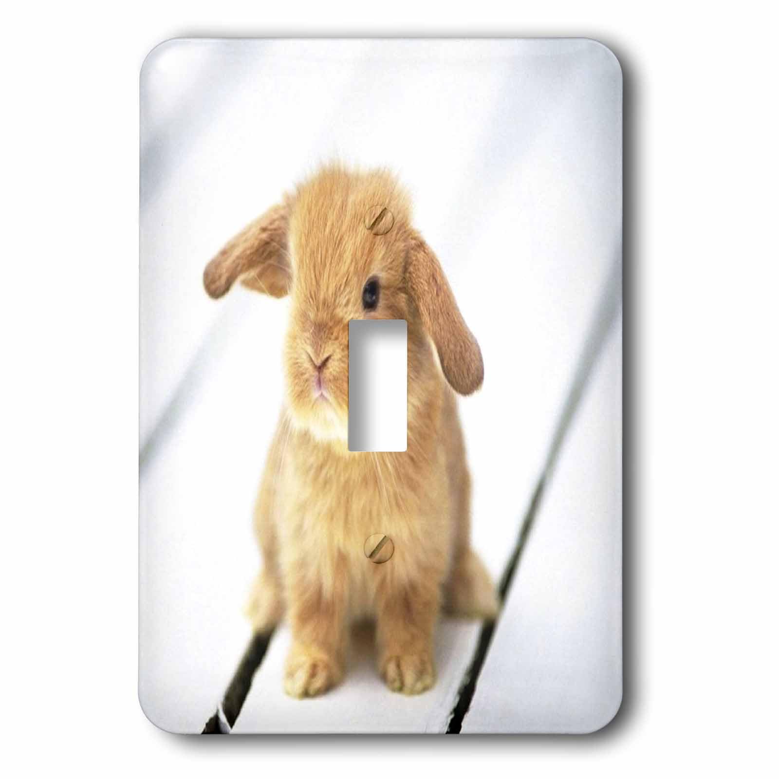 Interrupteur à baïonnette lapin Barbara Bunny 3dRose LSP_55173_1 pour remplacer vos plaques