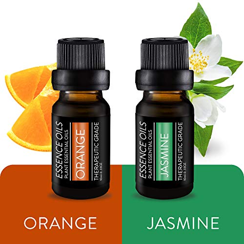 Pure Daily Care Aromatherapy Top 10 Essential Oil Set – Therapeutic Grade Single Ingredient Oils – Uplift Mind, Body and Spirit – 10 x 10 Ml Bottles – No Fillers & No Additives - Image 6