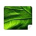 Banana Picture Nature Cleaning Cloth Screen Cleaner 2pcs Suede Fabric
