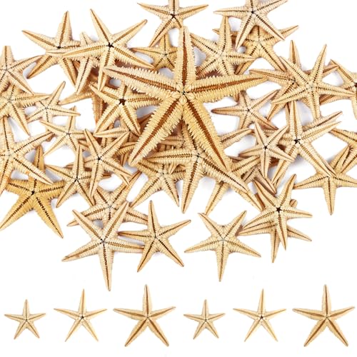 40 Stück Seestern Deko, Natürliche Seesterne, Mini Seesterne 3-5cm für Strand-Themenparty,...