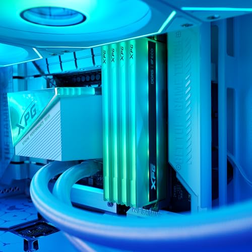 Image of ADATA XPG Lancer Neon RGB 16GB DDR5 6000MHz CL30-40-40 U-DIMM Desktop Memory RAM (AX5U6000C3016G-CLANRSG)
