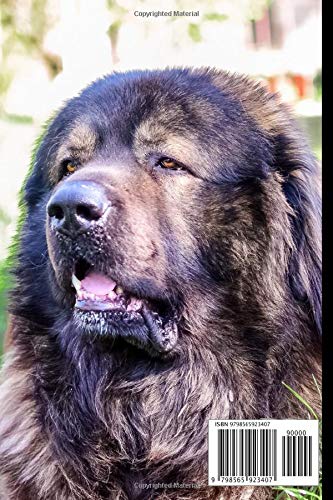 Caucasian Shepherd Dog Notebook For Dog Lovers: Composition Notebook 6x9" Blank Lined Journal - Image 2