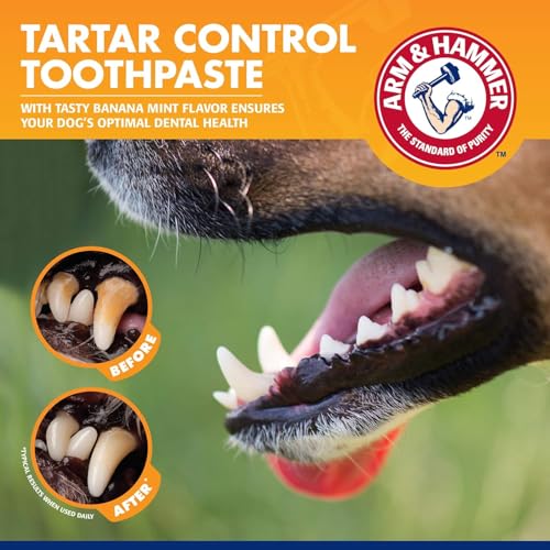 Image of Arm & Hammer for Pets Tartar Control Dog Dental Care Kit, Banana Mint Flavor Toothpaste with Baking Soda, Double-Sided Toothbrush and Finger Brush Included, 2.5 Oz, 3-Piece - 2 Pack