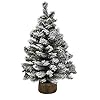 Kurt S Adler 18 Inch Flocked Miniature Canadian Pine Christmas Tree Green White Brown TR0043