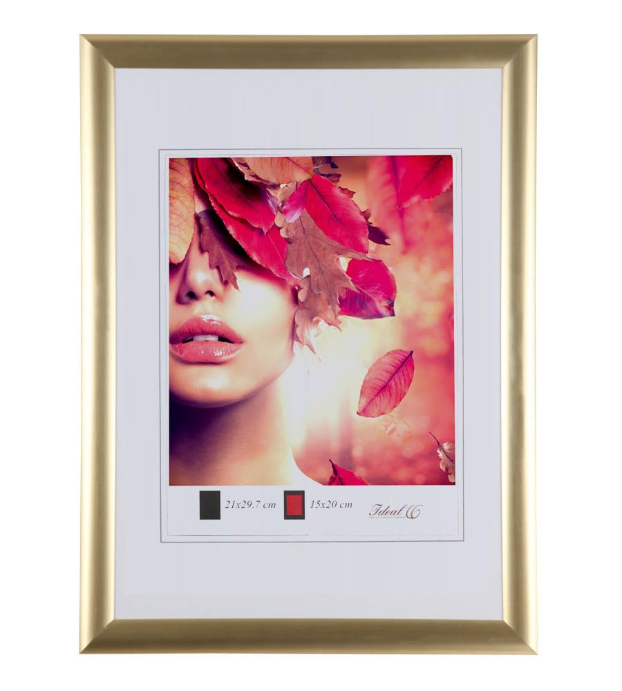 IDEAL TREND 3er 5er Pack Art Line Kunststoff Bilderrahmen Wanddeko Collage Poster Fotorahmen Bildträger: Farbe: 5er Gold | Format: 30x40