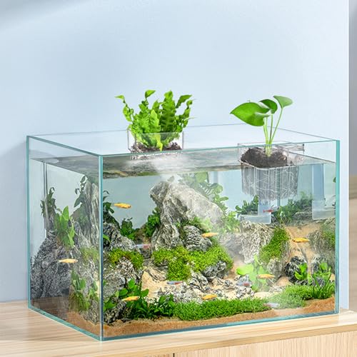 Image of Lawei 8 Pack Acrylic Aquarium Plant Holder, Clear Hanging Aquatic Plant Pot with Hole, Top Aquarium Plant Fish Tank Plant Cup for Water Feature Decoration, Wall-Mounted Plastic Aquatic Plant Baskets