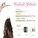 REECHO Invisible Wire Hair Extensions with Thinner Softer Lace Weft (Chocolate Brown with Golden Highlights, 12 Inch (Pack of 1))