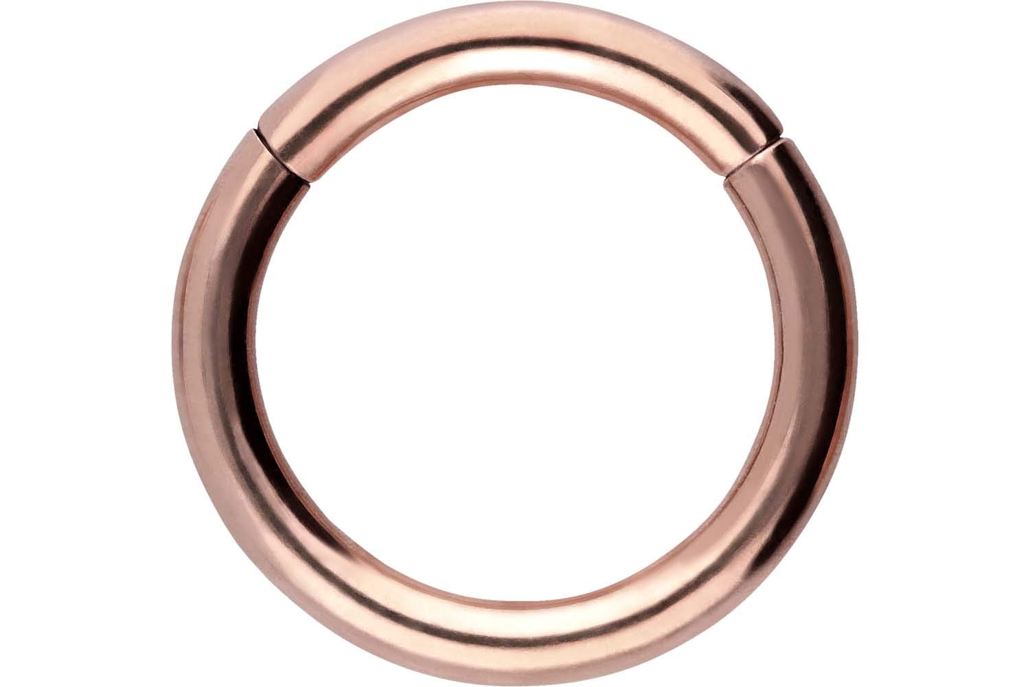 PIERCINGLINE Anillo segmento Clicker de acero quirúrgico – Piercing en oro, plata, rosa, negro o azul – para nariz, tabique, oreja, hélice o tragus — view 59