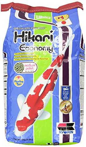 Hikari Usa Inc AHK38378 Economy 8.8lb, Medium