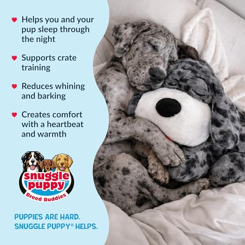 Image of Snuggle Puppy Heartbeat Toy (Large), Breed Buddies Great Dane | Calming, crate training comfort, heat pack, new puppy essentials, first nights, sleep, large breeds 70 plus lbs