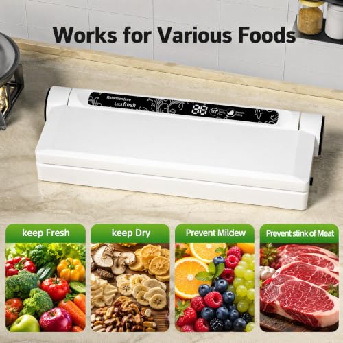 Compact Vacuum Sealer for Food 75Kpa Food Sealer Machine - image 2