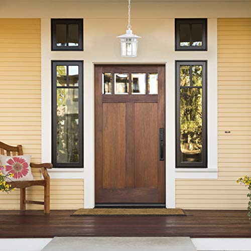 Image of Nuvo Lighting 60 /4954 Traditional One Light Hanging Lantern from Cove Neck collection in White finish