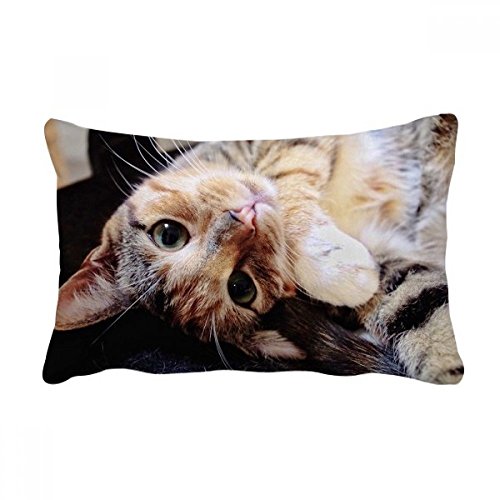Coussin oreiller lombaire chat rayé finitions soignées pour canapé - 2