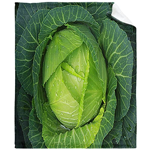Cabbage Ultra Soft Flannel Fleece Throw Blanket for Bed All Season Warm Lightweight Air Conditioner Quilt for Sofa Bedroom Office Travel Living Room Decorative Blankets 50 X 40 Inch for Kids