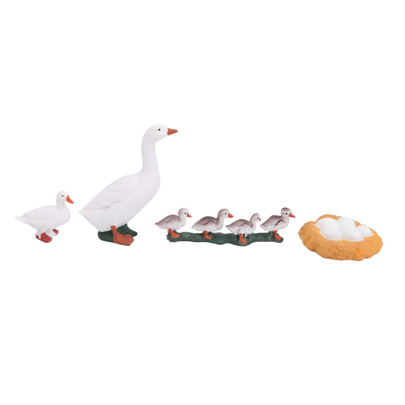 4 Stage Growth Cycle Model Animal Duck Life Cycle Children Educational Toy (A), Default - Image 2